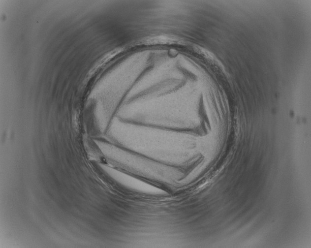 X0000080101217200701051256