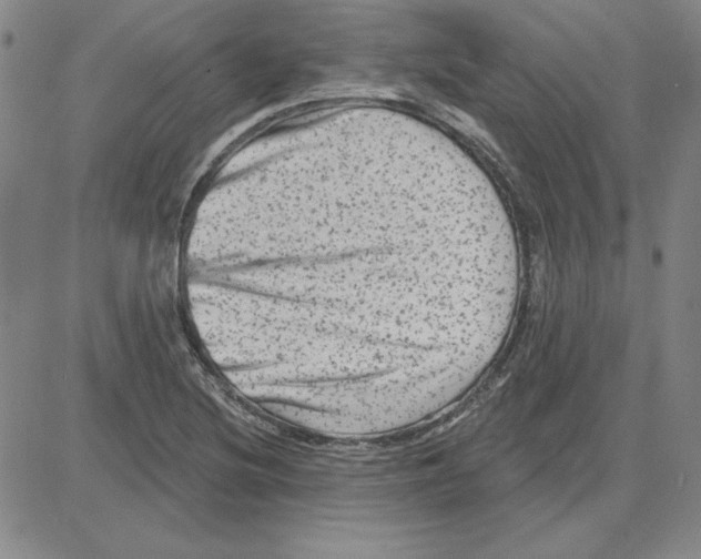 X0000080101220200701051256