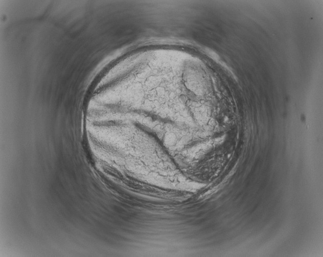 X0000080101221200701051256