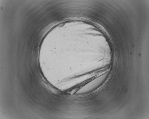 X0000080101228200701051256