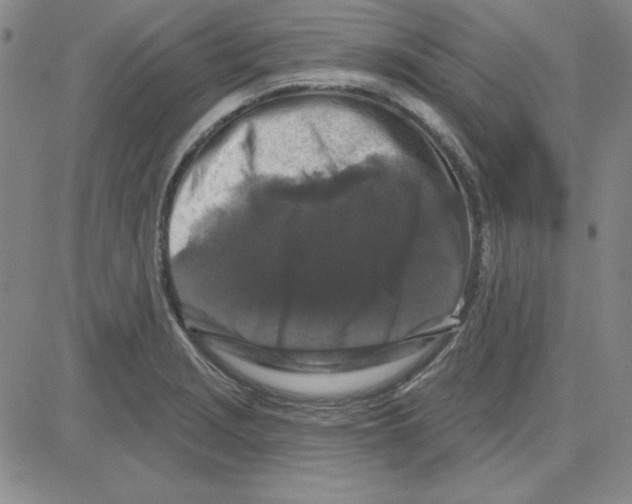 X0000080101229200701051256