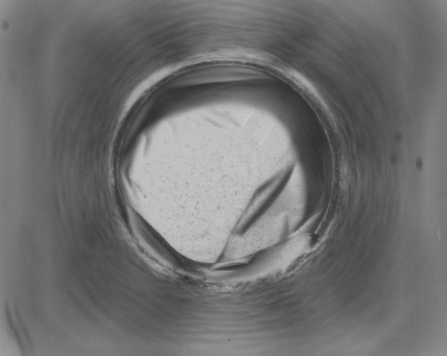 X0000080101230200701051256