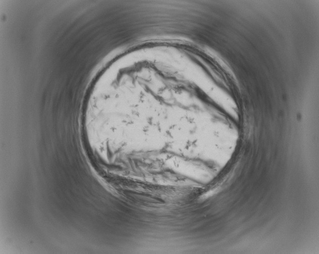 X0000080101237200701051257