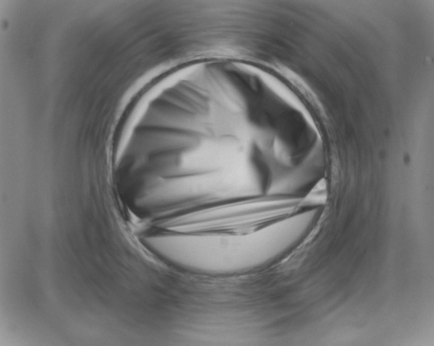 X0000080101238200701051257