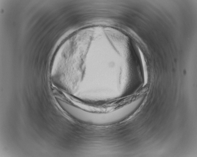 X0000080101240200701051257