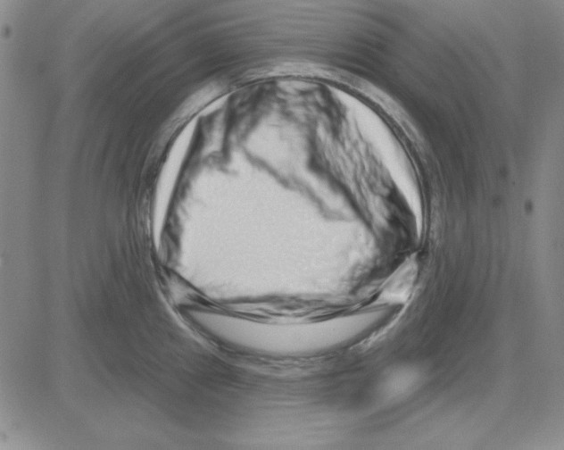 X0000080101241200701051257
