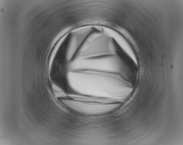 X0000080101242200701051257