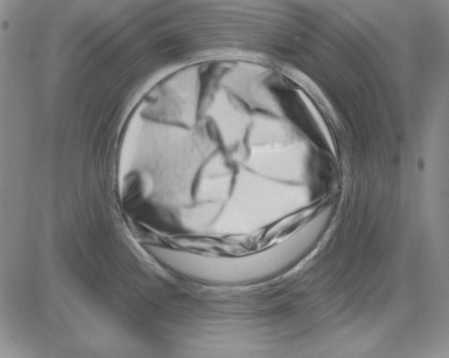 X0000080101244200701051257