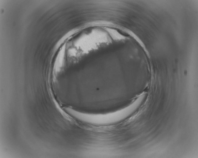 X0000080101245200701051257