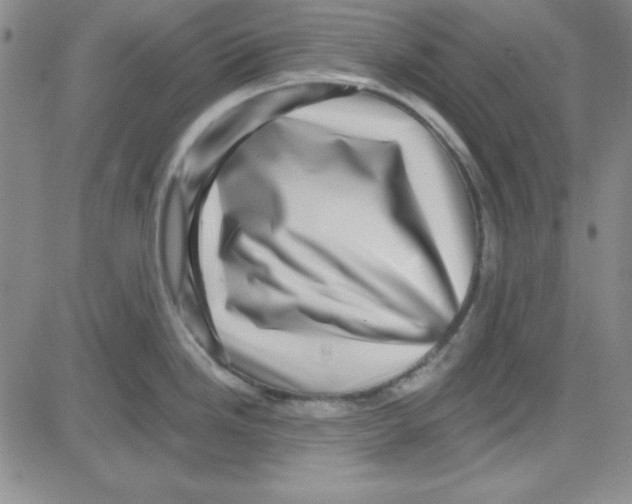 X0000080101246200701051257