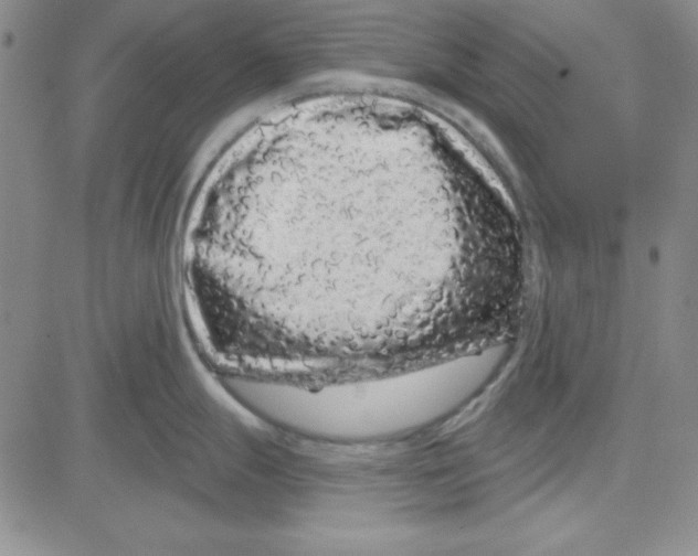X0000080101247200701051257