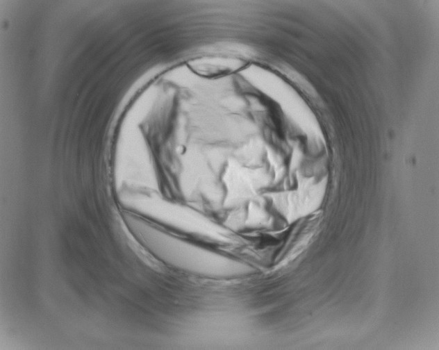 X0000080101248200701051257