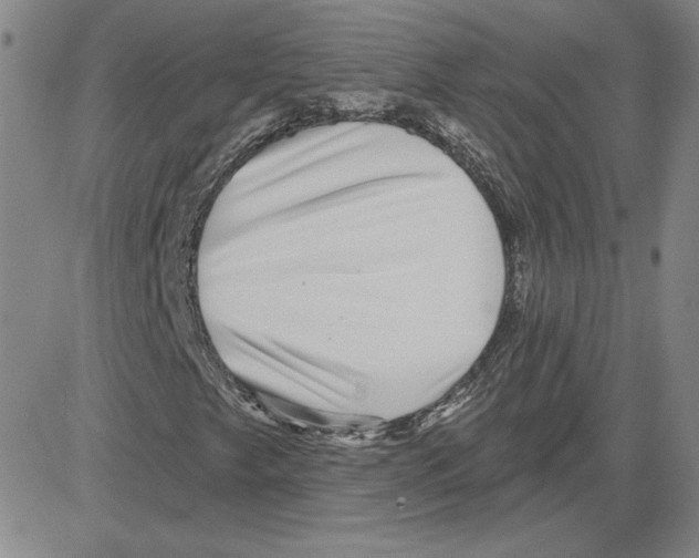 X0000080101249200701051256