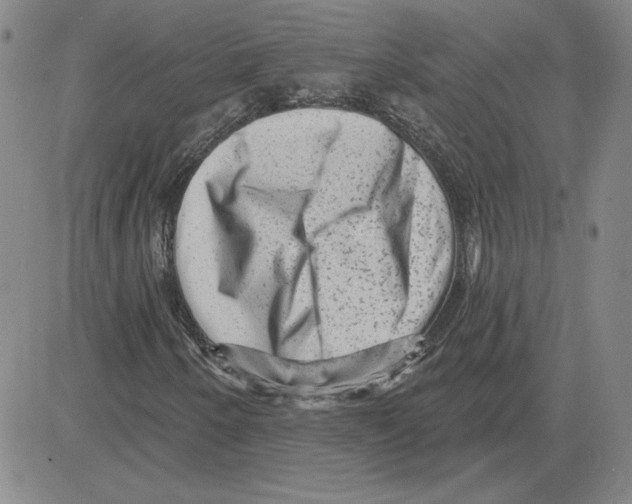 X0000080101250200701051256