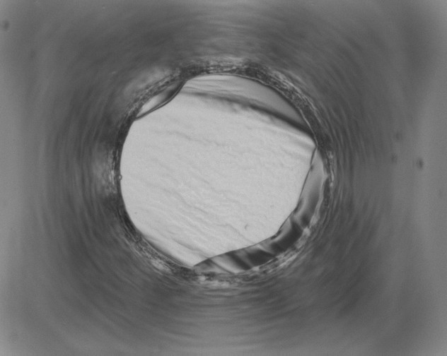 X0000080101252200701051256