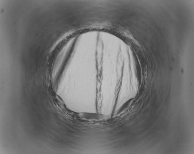 X0000080101256200701051256