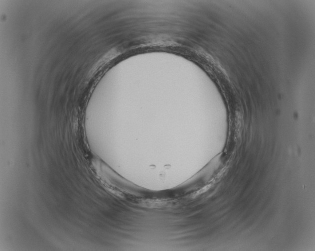 X0000080101257200701051256