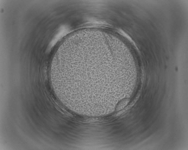 X0000080101259200701051256