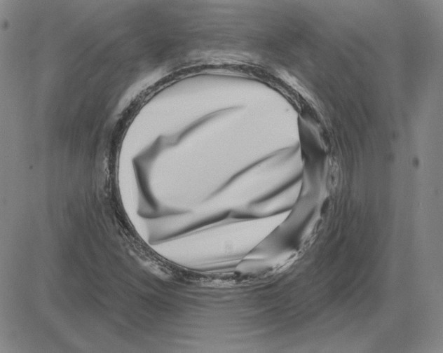 X0000080101261200701051256