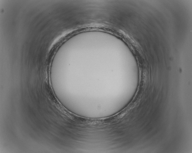 X0000080101262200701051256