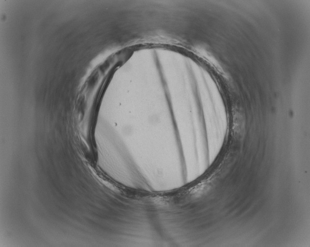 X0000080101264200701051256