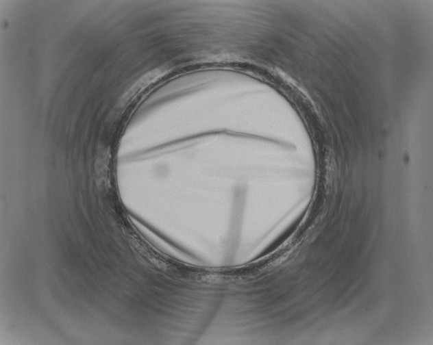 X0000080101265200701051256