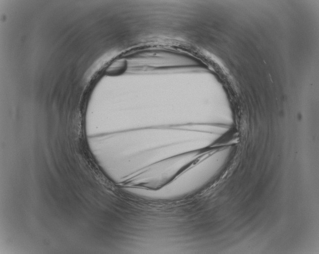 X0000080101267200701051256