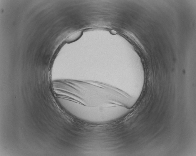 X0000080101268200701051256