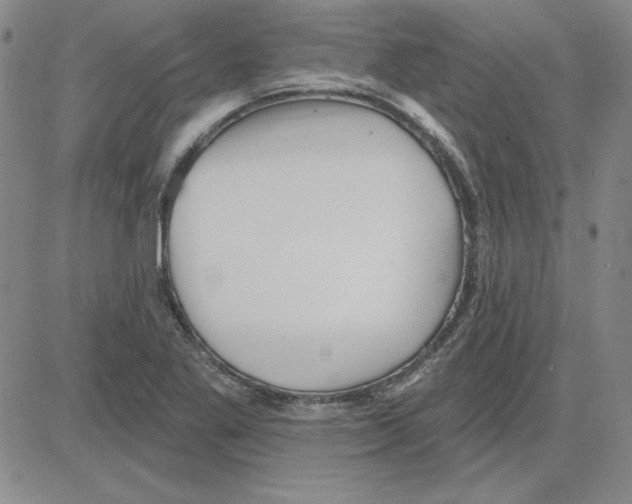 X0000080101269200701051256