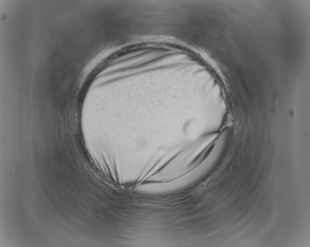 X0000080101271200701051256