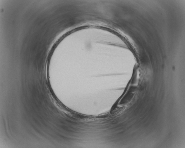 X0000080101272200701051256