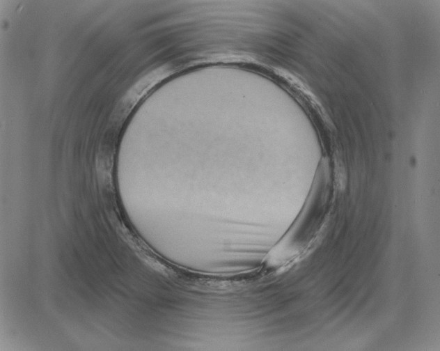 X0000080101273200701051256