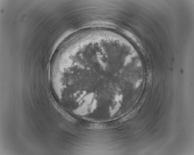 X0000080101275200701051256