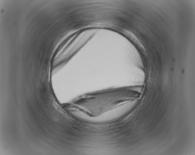 X0000080101276200701051255