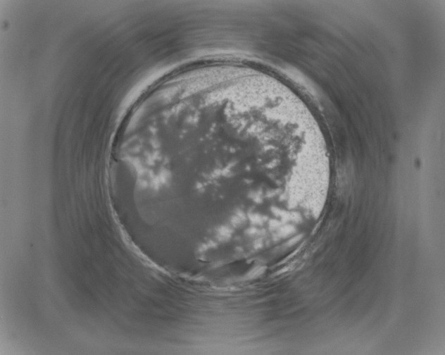 X0000080101279200701051255