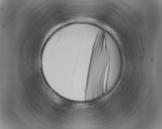 X0000080101280200701051255