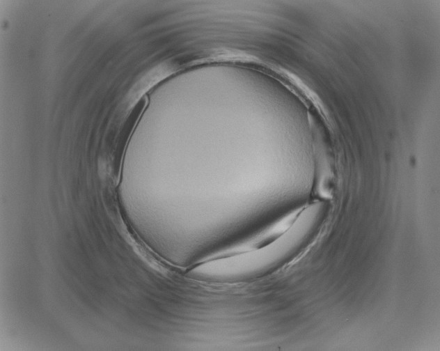 X0000080101281200701051255