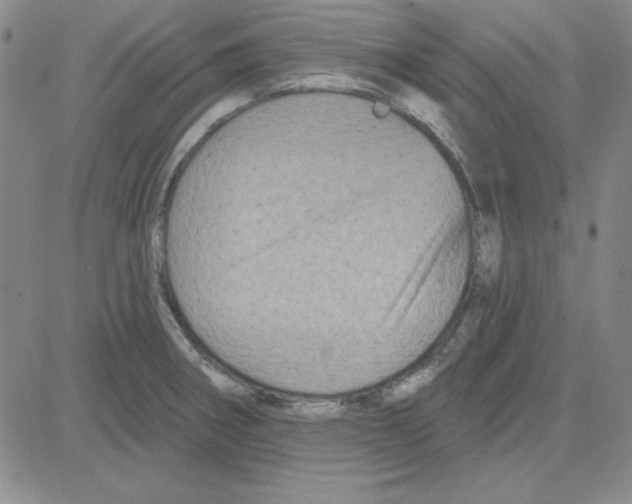 X0000080101282200701051255