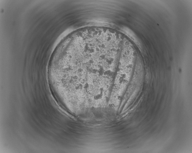 X0000080101283200701051255