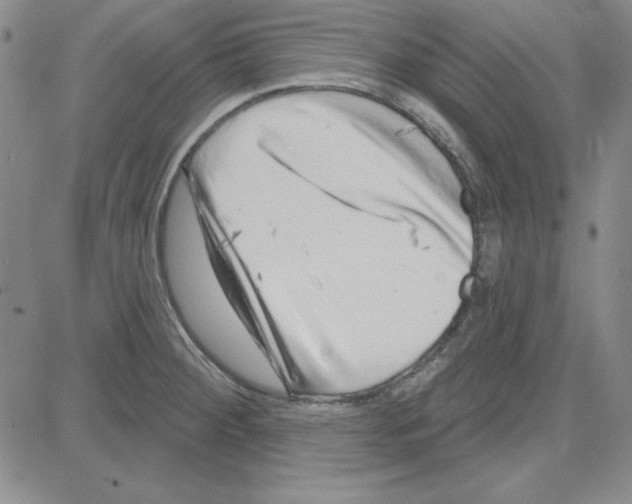 X0000080101284200701051255