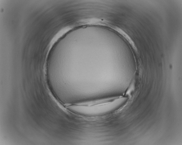 X0000080101285200701051255