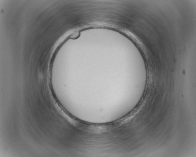 X0000080101286200701051255