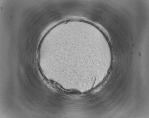 X0000080101287200701051255