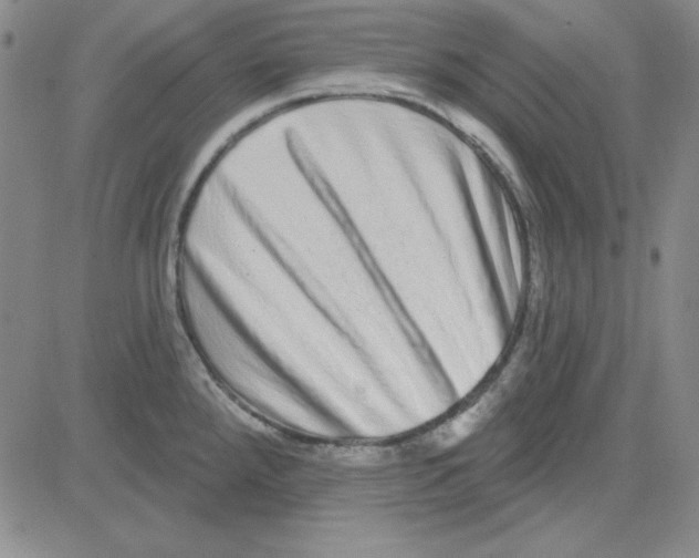 X0000080101288200701051255