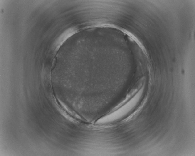 X0000080101289200701051255