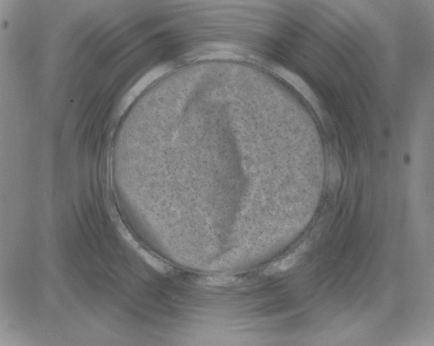 X0000080101290200701051255