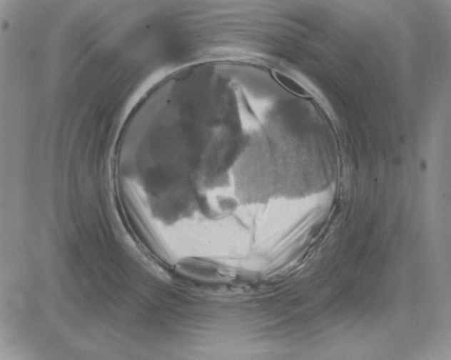 X0000080101291200701051255