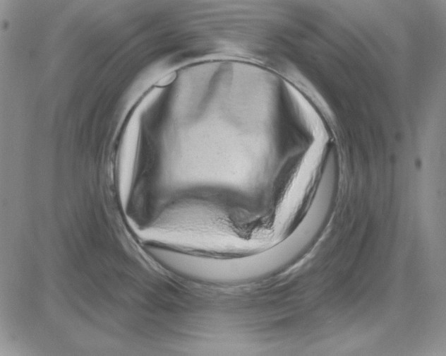 X0000080101292200701051255