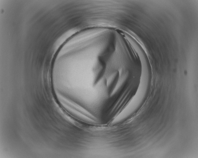 X0000080101293200701051255