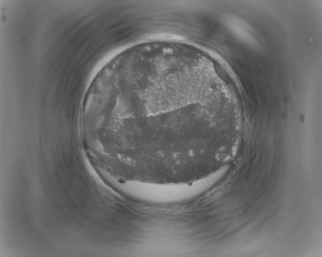 X0000080101295200701051255